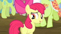 Apple Bloom "aren't you curious?" S4E20