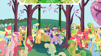 Apple family gathered around sighing Twilight S1E1