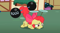 Applebloom Cutie-Pox