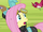 Fluttershy 'She's in the Everfree Forest' S3E05.png