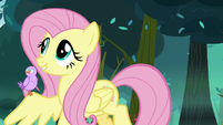 Fluttershy carrying the little bird home S8E13