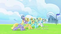 Wonderbolts Academy