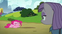 Pinkie Pie deflating in front of Maud S7E4
