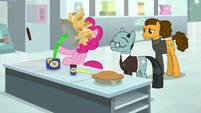 Pinkie gets hit with apple pie on a spring S9E14