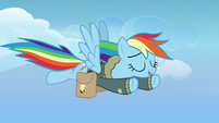 Rainbow Dash flying leisurely toward Ponyville S6E24