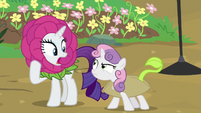 Rarity shocked by Sweetie Belle's outburst S7E6