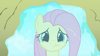 Fluttershy realizes the mistakes she's made