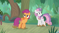 Scootaloo and Sweetie look for Apple Bloom S9E22
