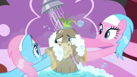 Spa ponies scrubbing Cranky S2E18