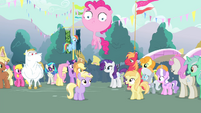 Townsponies congratulating Rarity S4E13