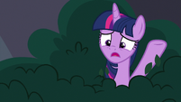 Twilight "proper book borrowing behavior" S9E5