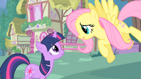 Twilight and Fluttershy "where are you off to?" S1E17