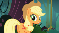 Applejack "saw the balloon floating by" S03E09