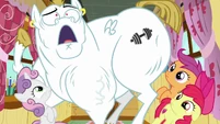 Bulk Biceps "but I've lifted every dumbbell in Ponyville!" S6E4.png (1.07 MB)