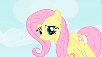 Fluttershy looks down at Pinkie Pie S1E25