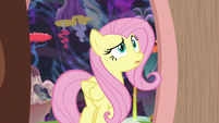 Fluttershy surprised by Discord's house S7E12