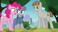 Pinkie Pie "it's just a stick" S8E3