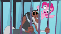 Pinkie Pie "there's your cue" S8E26
