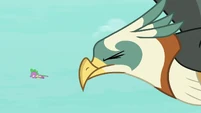 Roc snapping its beak at Spike S8E11