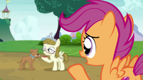 Scootaloo "doesn't want anything to do with her" S7E6