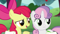"But... I'm pretty sure Scoot and Rainbow Dash'll take that award."