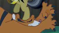 Daring Do stomps on tiger's head S4E04
