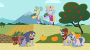 Earth ponies, Pegasi and unicorns S02E11