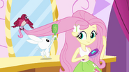 Fluttershy brushing her hair with her pets EG