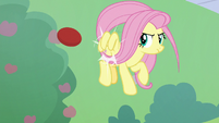 Fluttershy bumps the buckball back S8E24