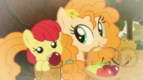Pear Butter and baby Apple Bloom S9E10