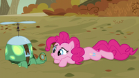 Pinkie looks at Tank closely S5E5