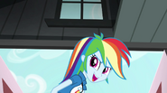 Rainbow Dash "Let's go win us a Battle of the Bands" EG2