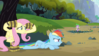 Rainbow Dash working well S3E9