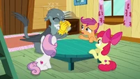 Scootaloo asks Gabby why she wants a cutie mark S6E19