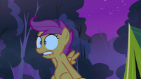 Scootaloo hears something.