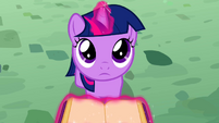 Twilight reading book as a filly S2E25