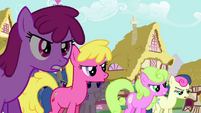 Angry crowd of ponies.