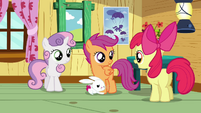 Apple Bloom 'And we haven't exactly figured out' S3E11