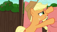 Applejack about to pull the curtains back S6E14