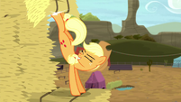 Applejack bucks hay bale to the top S5E6