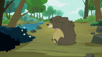 Bear unsuccessful at eating the fish S3E06