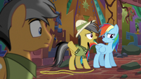 Daring Do scolding Rainbow Dash S6E13