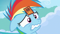Filly Rainbow Dash embarrassed by her parents S7E7