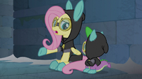 Fluttershy "sibling dynamics are hard" S9E4