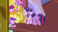 Rabid fan ponies at Twilight's castle door S7E14