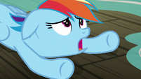 Rainbow Dash "the line is so long" S8E5