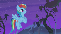 Rainbow Dash scared S4E07