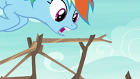 Rainbow Dash stacking branches together S8E9