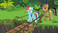 Rainbow Dash testing the suspension bridge S6E13