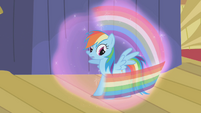 Dash is going to twirl